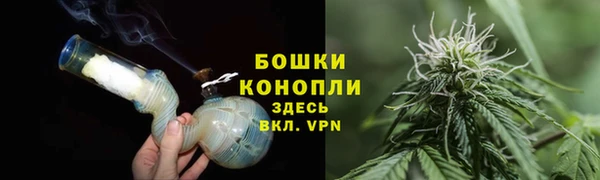 СК Богородицк