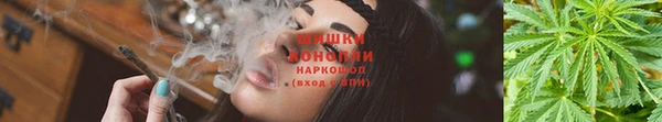 СК Богородицк
