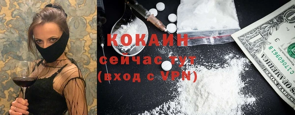 мдпв Богданович