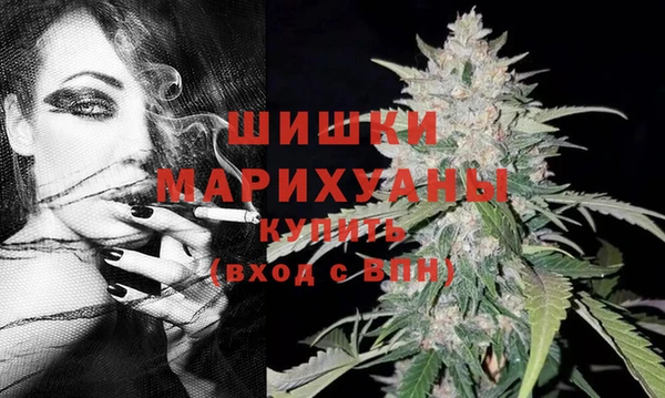СК Богородицк
