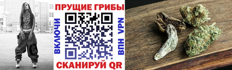 Купить  Серафимович  Псилоцибиновые грибы Magic Shrooms 